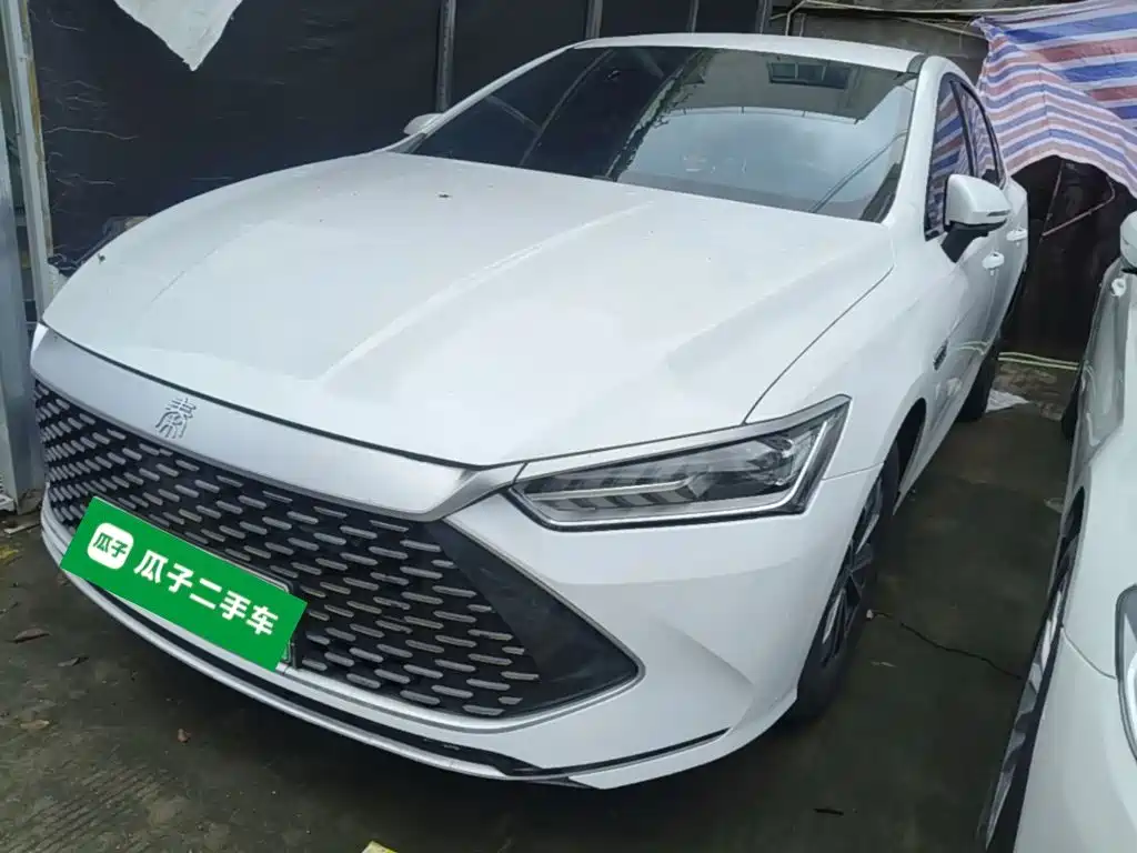 BYD Qin PLUS 2023 Champion Edition DM-i 55KM Leading
