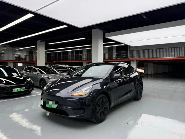 Tesla Model Y 2024 Rear-Wheel Drive Version