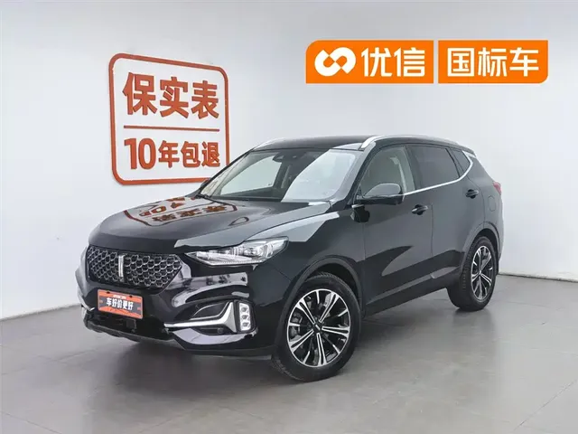 WEY VV6 2021 2.0T 2WD Smart Protection+