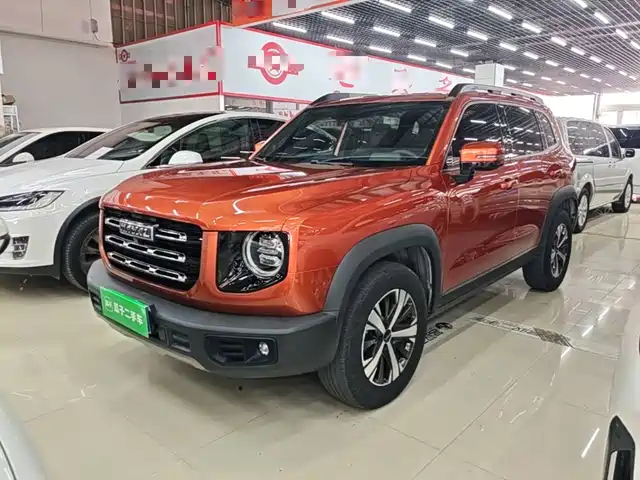 Haval Big Dog 2021 1.5T DCT 2WD Labrador Edition