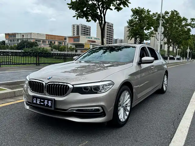 BMW 5 Series 2019 530Li Leading Luxury Package