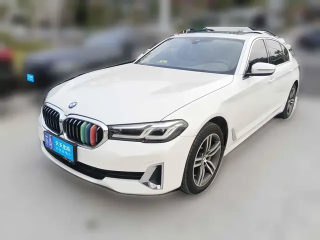 BMW 5 Series 2021 530Li Leading Luxury Package