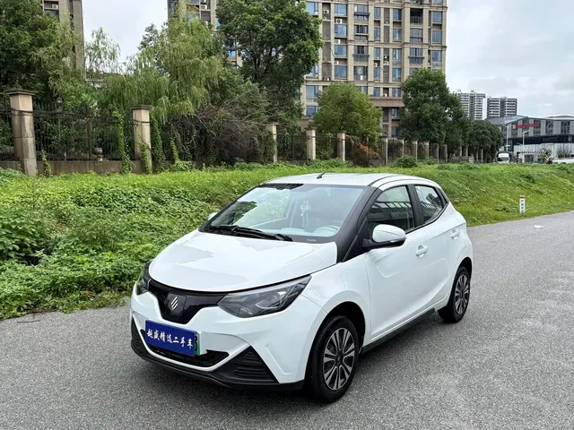 JMCG New Energy Little Kirin 2024 201km Comfort Model