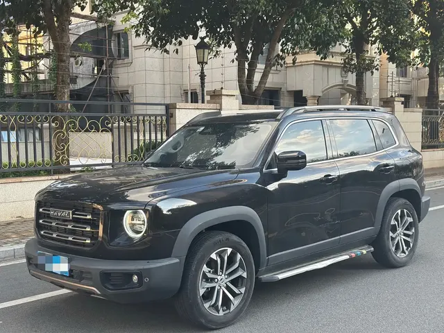 Haval Big Dog 2022 1.5T DCT FWD Border Collie Edition