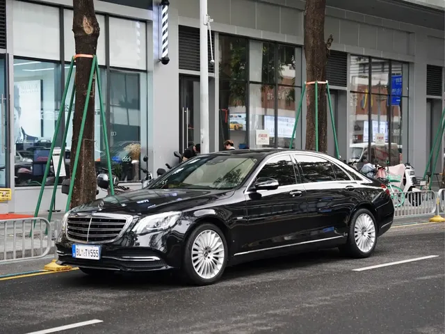 Mercedes-Benz S-Class 2020 S 350 L Business Edition Collector's Version