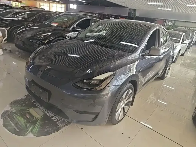 Tesla Model Y 2022 Rear-Wheel Drive Version
