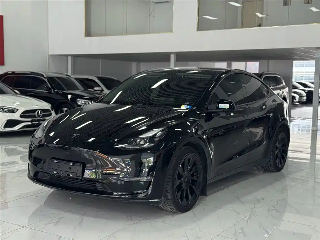 Tesla Model Y 2021 Standard Range Rear-Wheel Drive