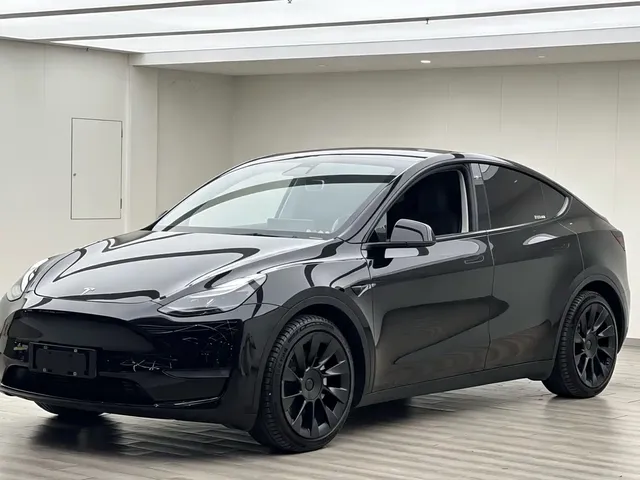 Tesla Model Y 2021 Standard Range Rear-Wheel Drive