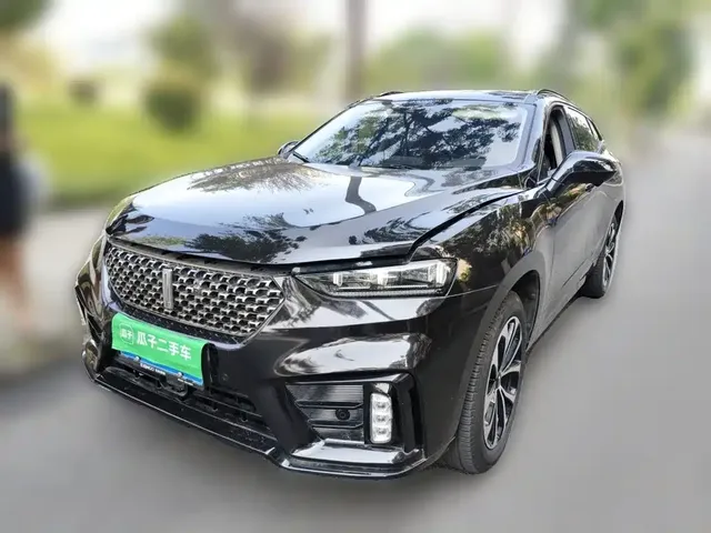 WEY VV7 2020 2.0T Super Luxury