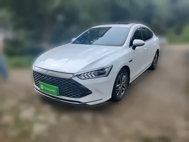 BYD Qin PLUS 2021 DM-i 55KM Flagship