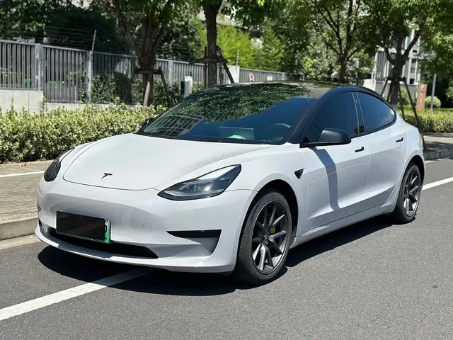 Tesla Model 3 2021 Standard Range Rear-Wheel Drive Upgrade