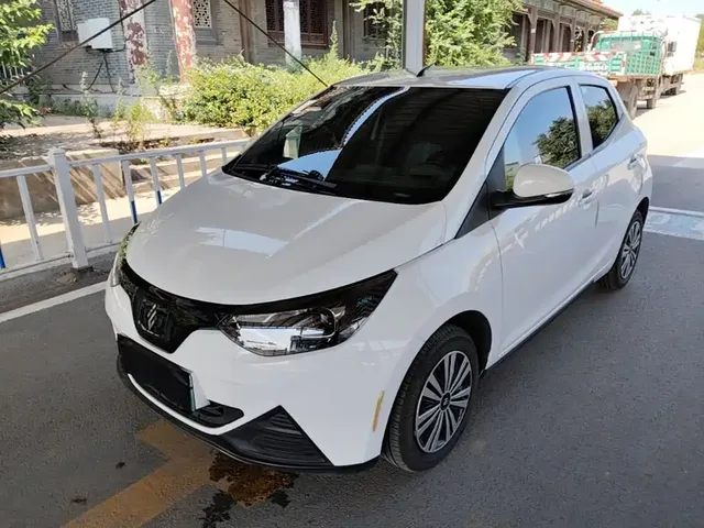 JMCG New Energy Little Kirin 2023 Model Lucky Edition 201km Comfort