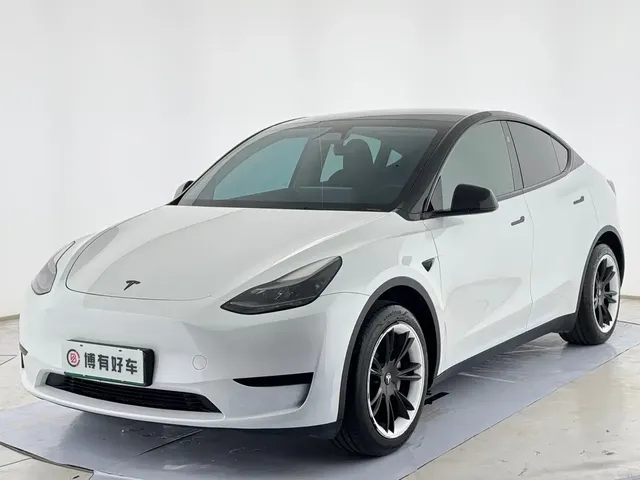 Tesla Model Y 2024 Rear-Wheel Drive Version