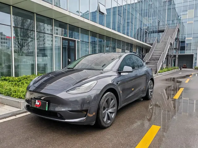 Tesla Model Y 2022 Rear-Wheel Drive Version