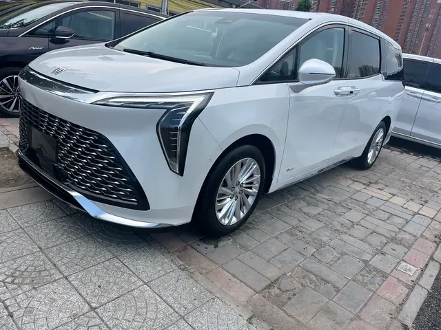 Buick Century 2025 2.0T 7-Seater World Edition