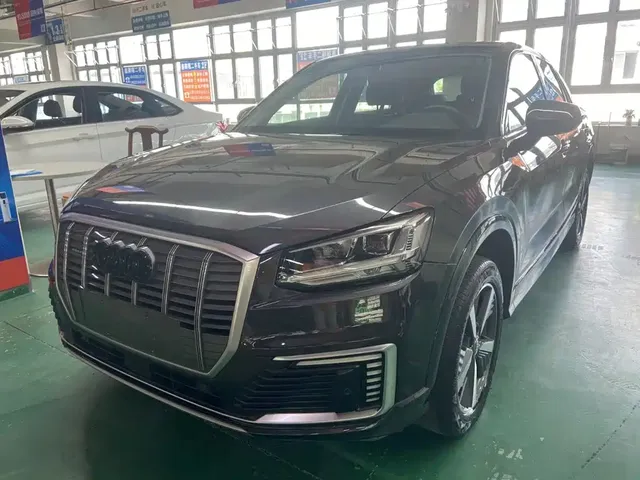 Audi Q2L e-tron 2019 Q2L e-tron Pure Electric Smart Enjoyment