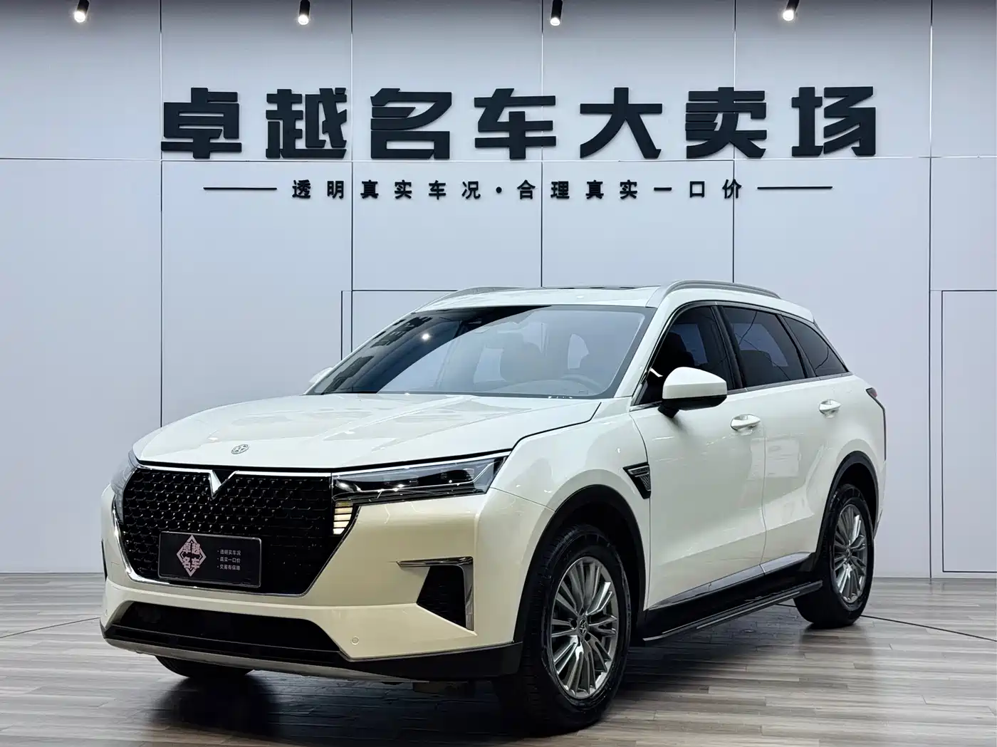Venucia Star 2021 260T Auto 48V Mild Hybrid Star Edition