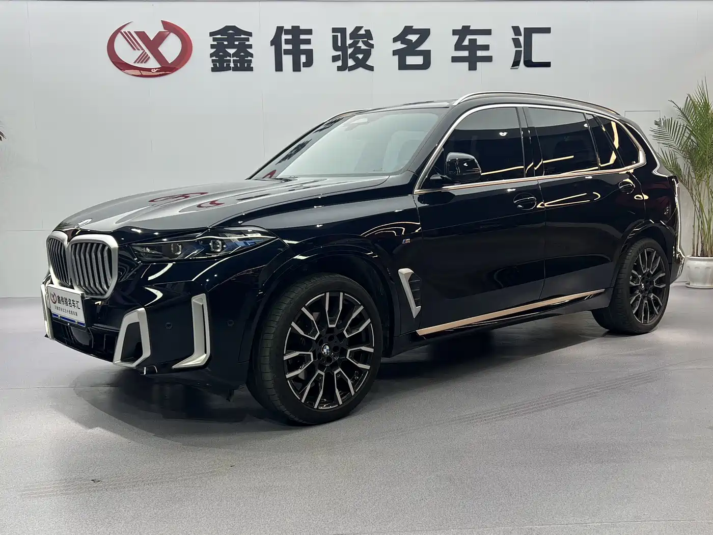 BMW X5 2023 xDrive 40Li M Sport Package