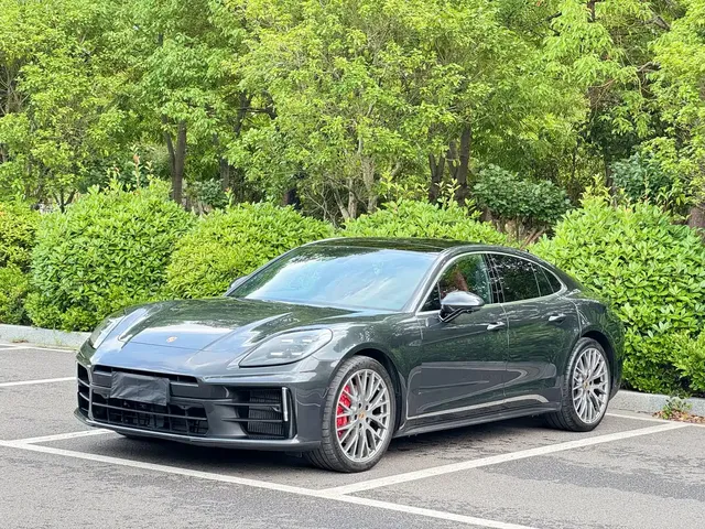 Porsche Panamera 2024 Panamera 2.9T