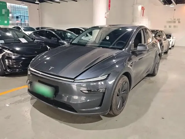 Tesla Model Y 2025 Model Long Range All-Wheel Drive Launch Edition