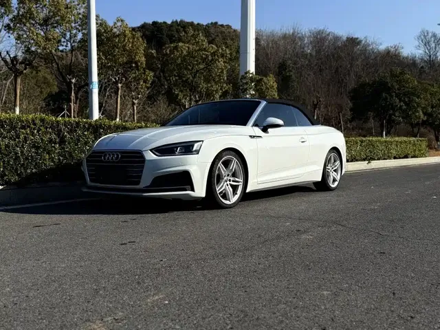 Audi A5 (Import) 2020 Cabriolet 40 TFSI Fashion (China VI)