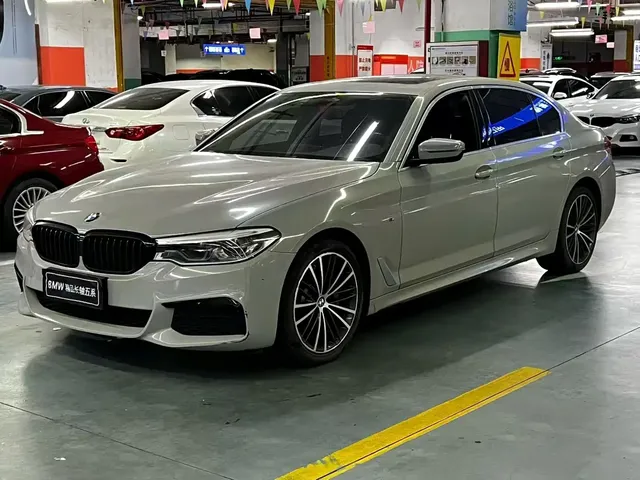 BMW 5 Series 2020 530Li Leading M Sport Package