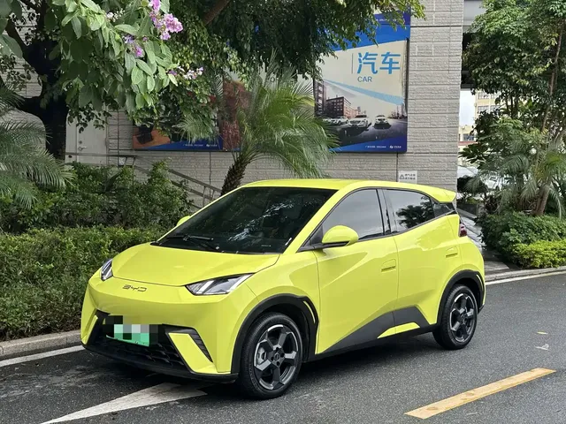 BYD Seagull 2024 Glory Edition 305km Freedom Edition