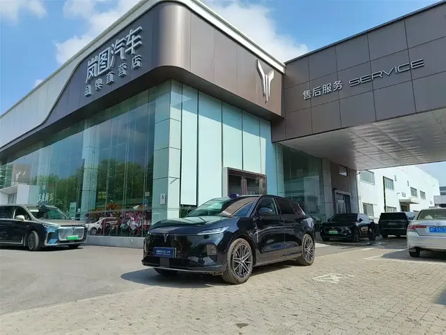Voyah Auto Voyah Zhiyin 2025 Base