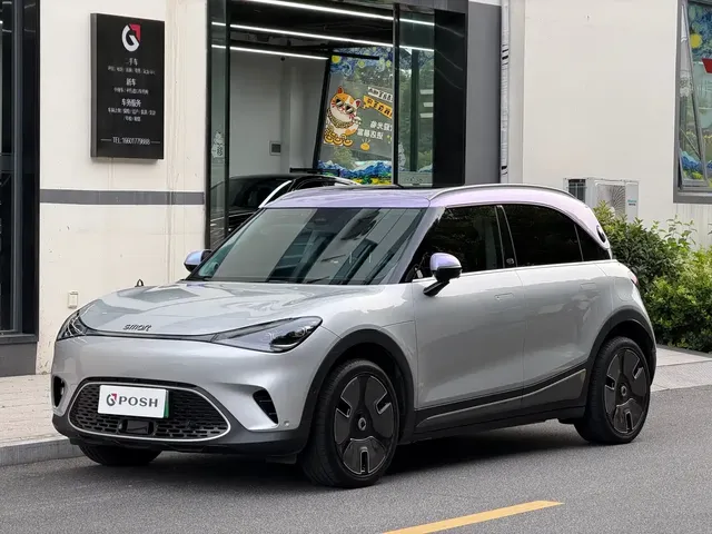 smart Elf #1 2024 Premium Edition