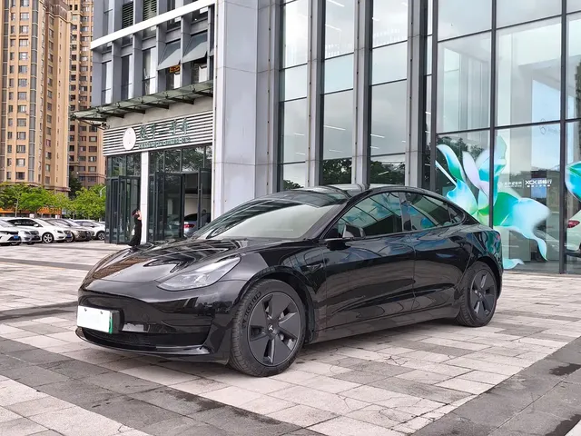 Tesla Model 3 2022 Model Rear-Wheel Drive Version