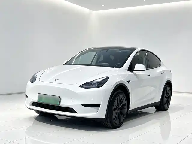 Tesla Model Y 2023 Rear-Wheel Drive Edition