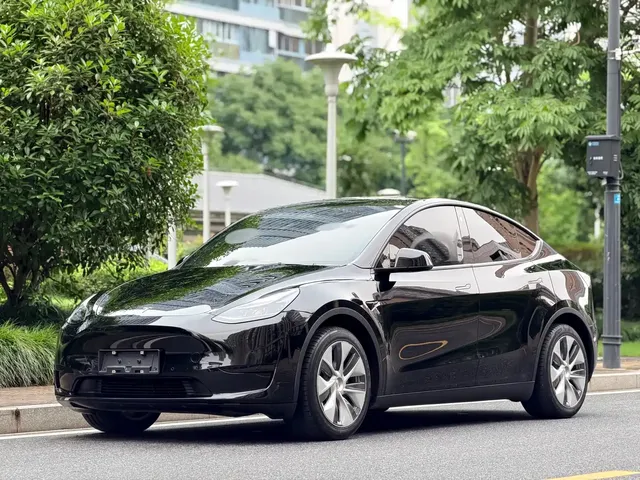 Tesla Model Y 2022 Rear-Wheel Drive Version