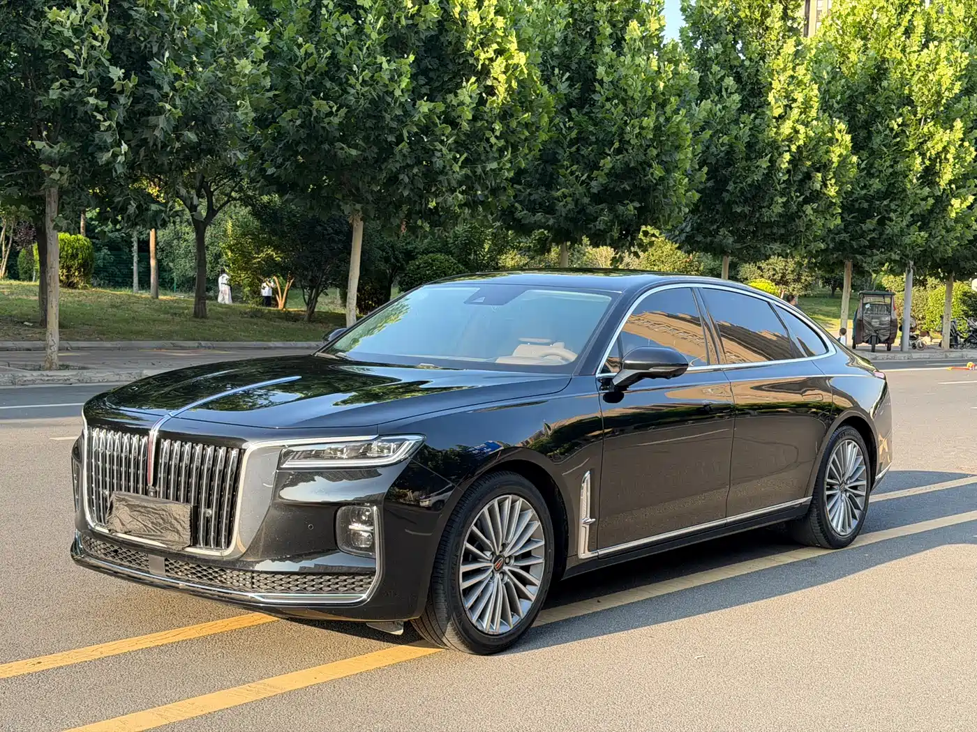 Hongqi H9 2020 2.0T Smart Connection Qi Chang Edition