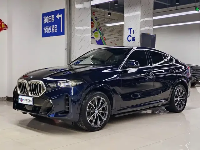 BMW X6 2023 xDrive30i M Sport Package