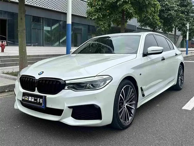BMW 5 Series 2019 530Li Leading M Sport Package
