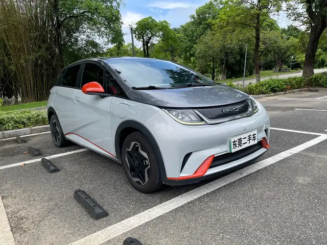BYD Dolphin 2021 401km Knight Edition