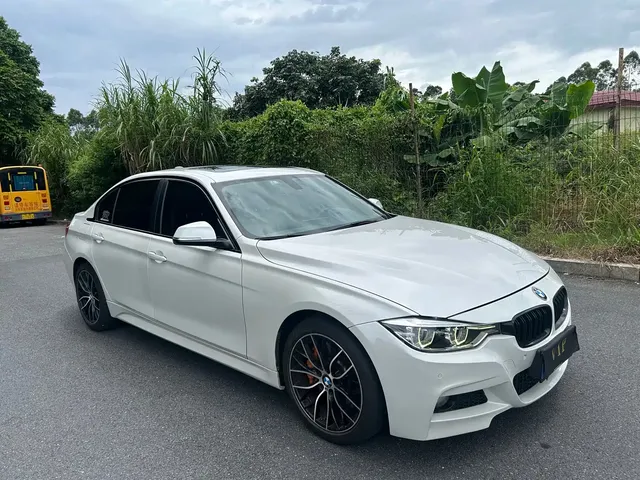 BMW 3 Series 2019 320Li Fashion Type