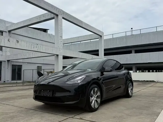 Tesla Model Y 2022 Rear-Wheel Drive Version
