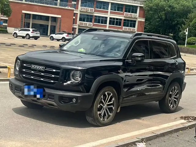 Haval Big Dog 2021 1.5T DCT 2WD Border Collie Edition