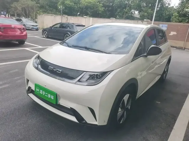 BYD Dolphin 2023 420km Freedom Edition