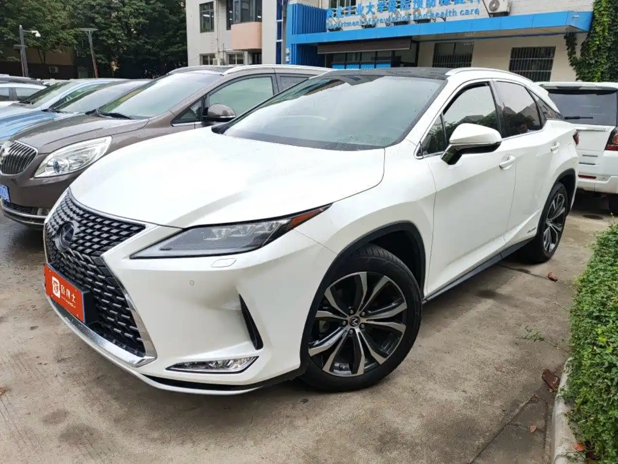 Lexus RX 2020 450h 4WD Luxury Edition China VI