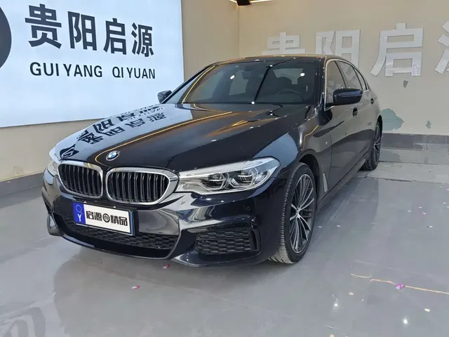 BMW 5 Series 2020 530Li Leading M Sport Package