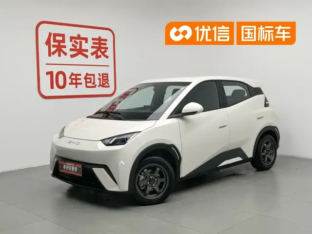 BYD Seagull 2023 Vitality Edition