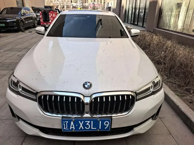 BMW 5 Series 2021 530Li Leading M Sport Package