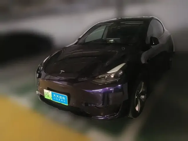 Tesla Model Y 2022 Rear-Wheel Drive Version