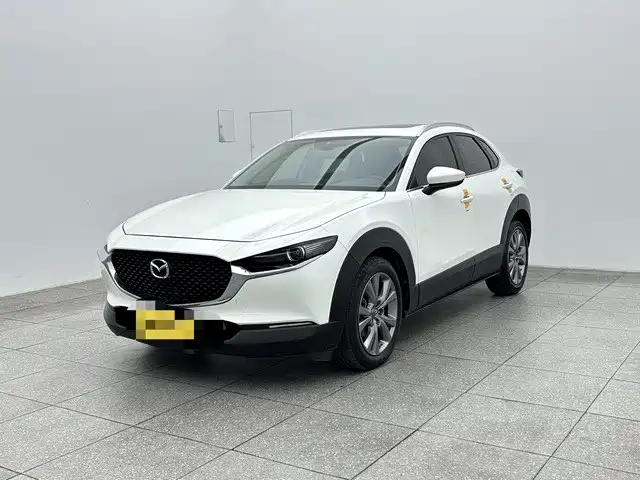 Mazda CX-30 2021 2.0L Auto Premium Joy Type