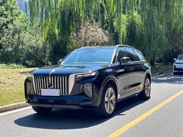 Hongqi E-HS9 2021 460km Flagship Comfort 6-seater