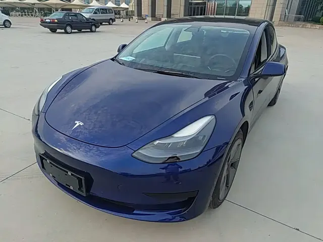 Tesla Model 3 2021 Facelift Standard Range RWD Upgrade 3D1