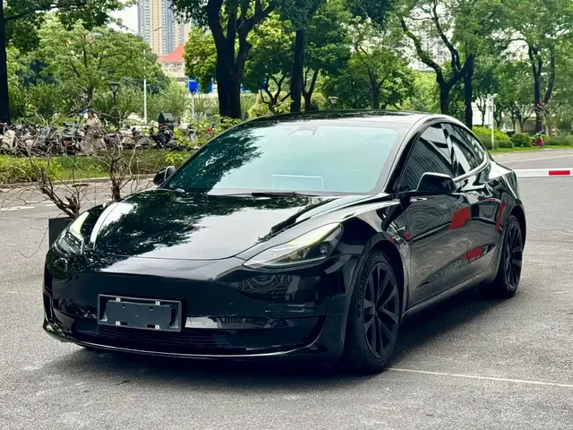 Tesla Model 3 2022 Model Rear-Wheel Drive Version