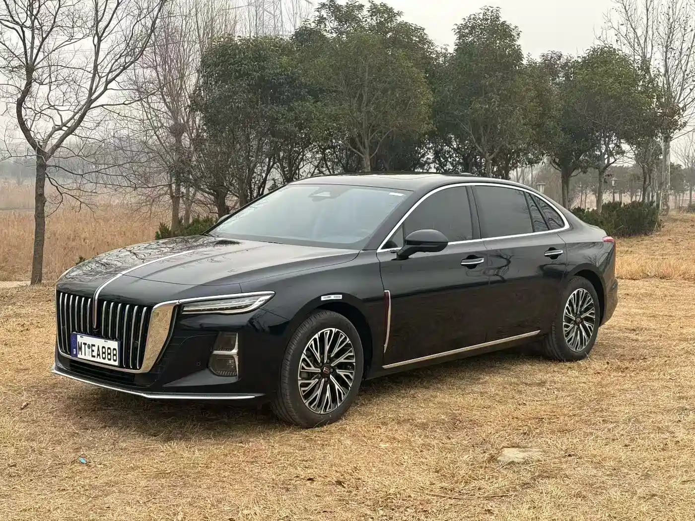 Hongqi H5 2025 2.0T Automatic Flag Celebration 500,000 Units Anniversary Edition